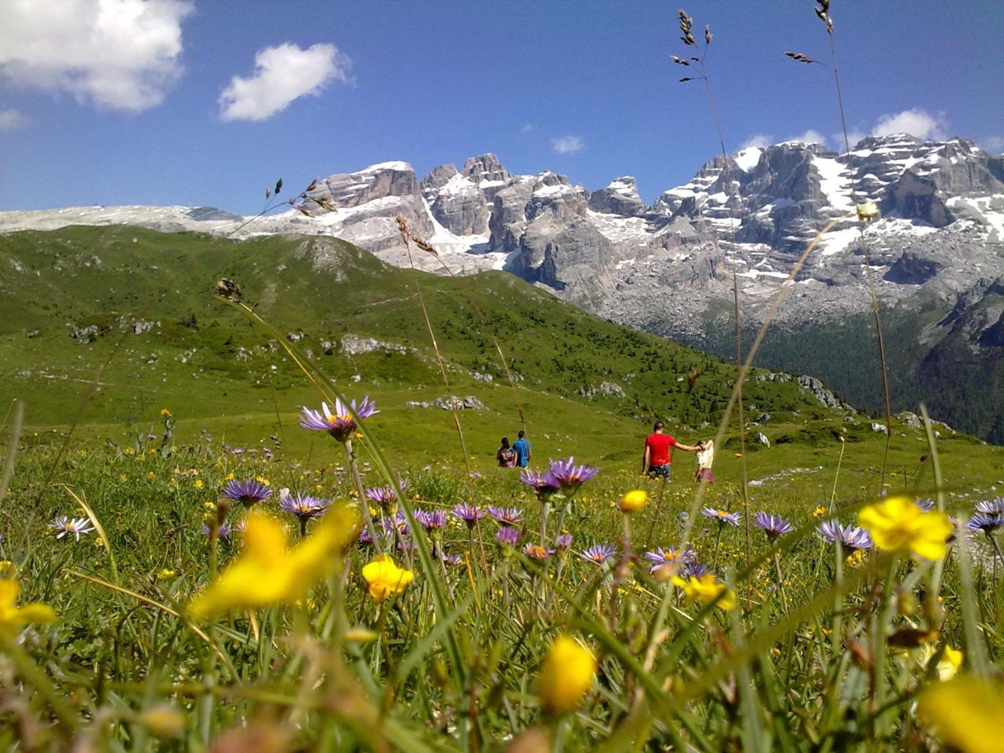 Hotel Alpina بينْسولُ المظهر الخارجي الصورة